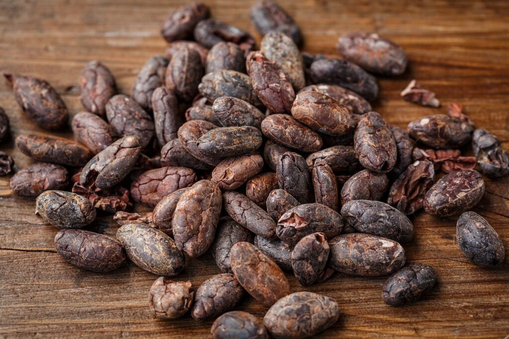 cacao bean, cocoa bean, cocoa-2522918.jpg